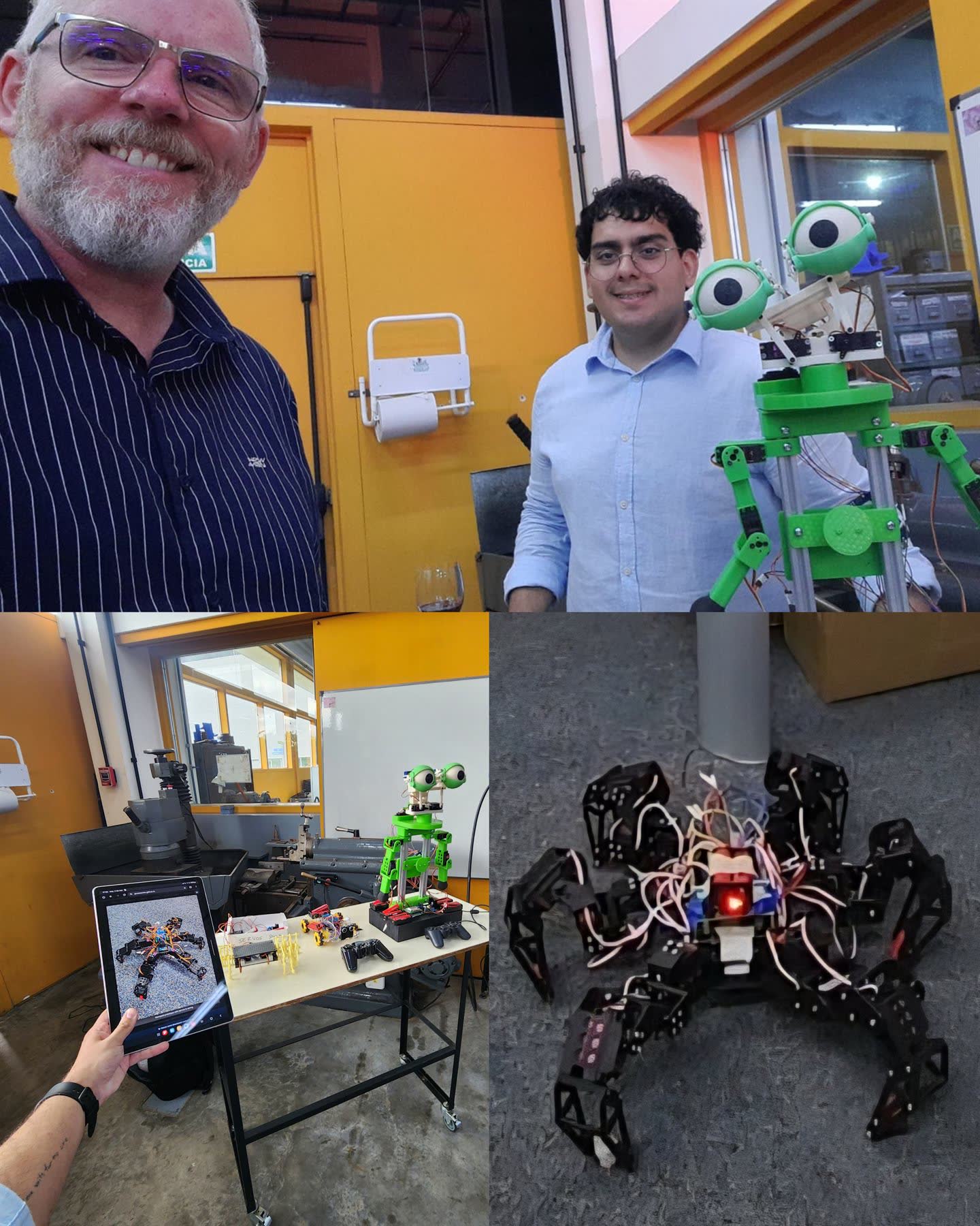 Lab activities collage